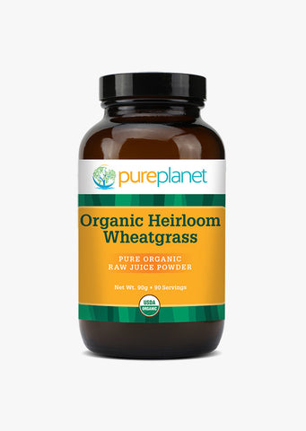 Heirloom Wheatgrass