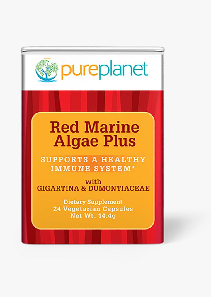 Red Marine Algae