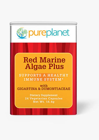 Red Marine Algae